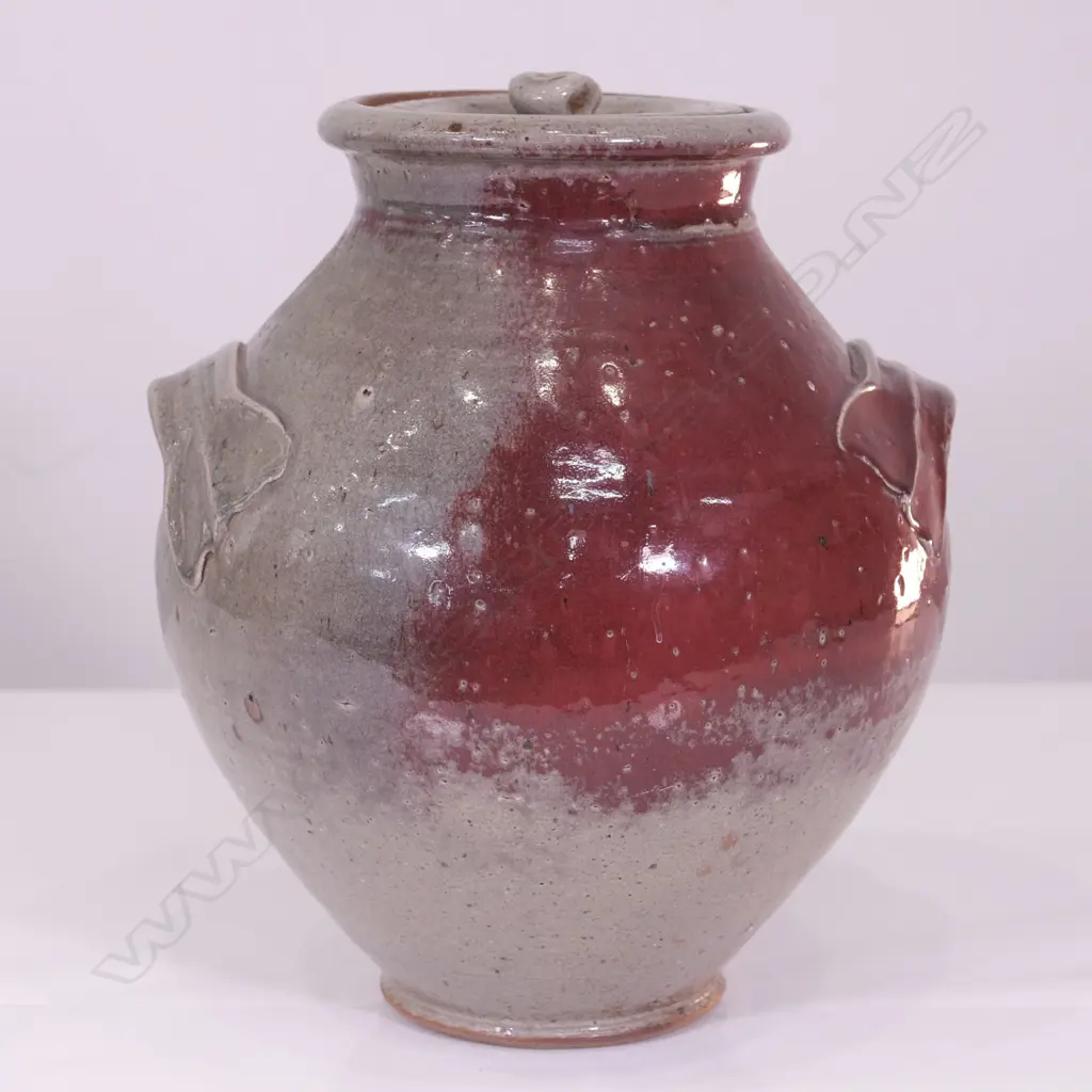 PETER ALGAR LIDDED POT Image 1++