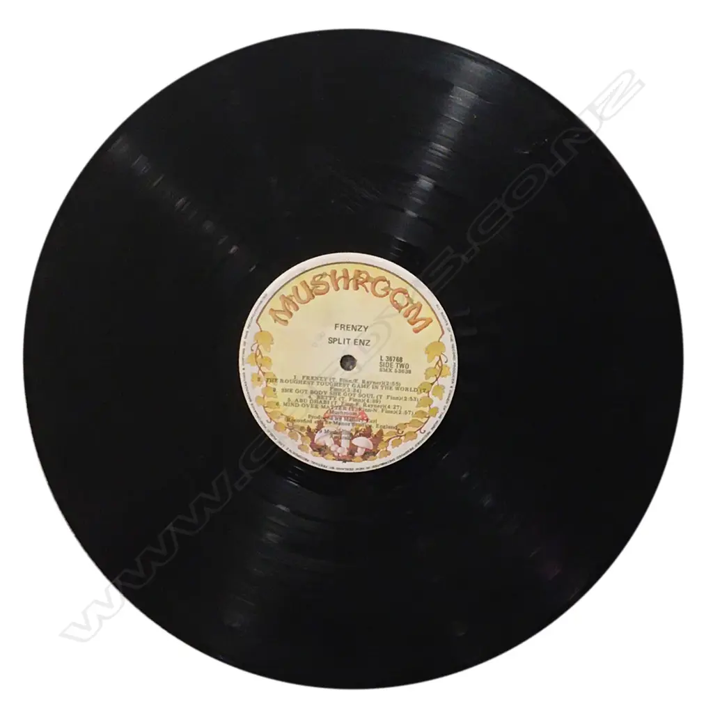 ORIG 1979 SPLIT ENZ FRENZY LP, V. GOOD CONDITION Image 1++