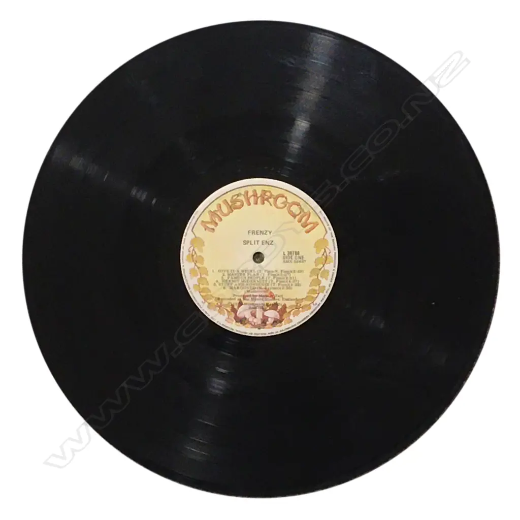 ORIG 1979 SPLIT ENZ FRENZY LP, V. GOOD CONDITION Image 1++