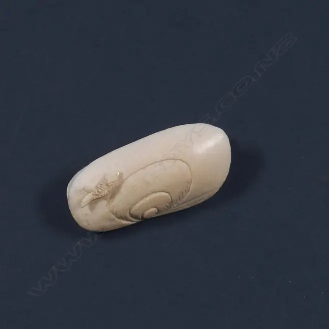 A SMALL IVORY DREAM SHELL W 50 MM Image 1++