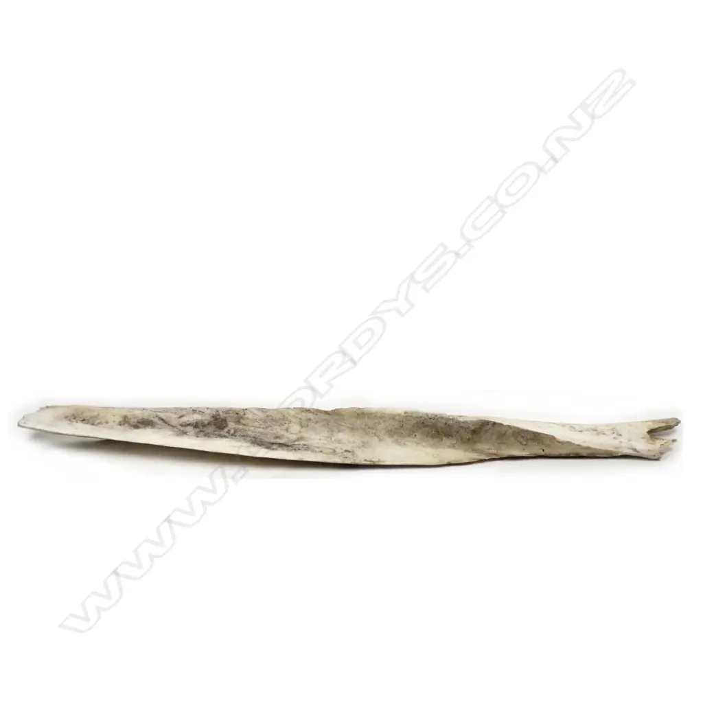 LG OLD BONE Image 1++