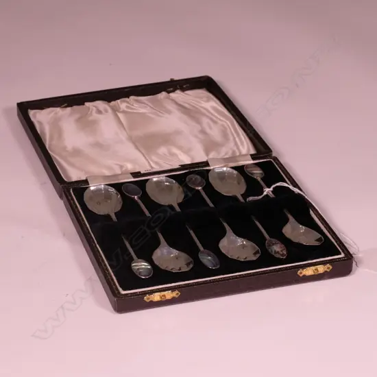 CASED SILVER & PAUA COFFEE SPOONS 