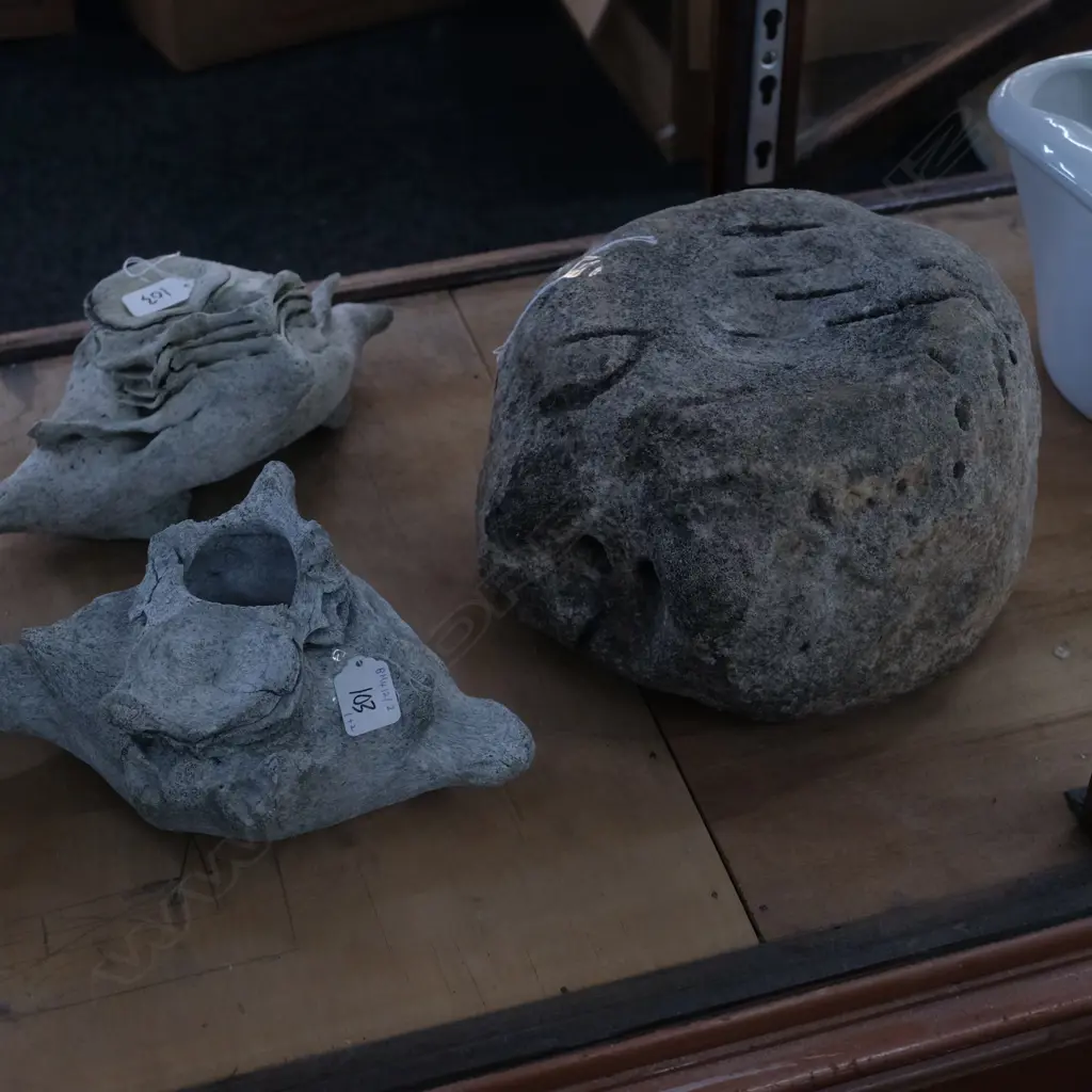 LARGE ROUND OLD WEATHER MAMMAL BONE & 2 OTHERS WIDEST 290MM Image 1++