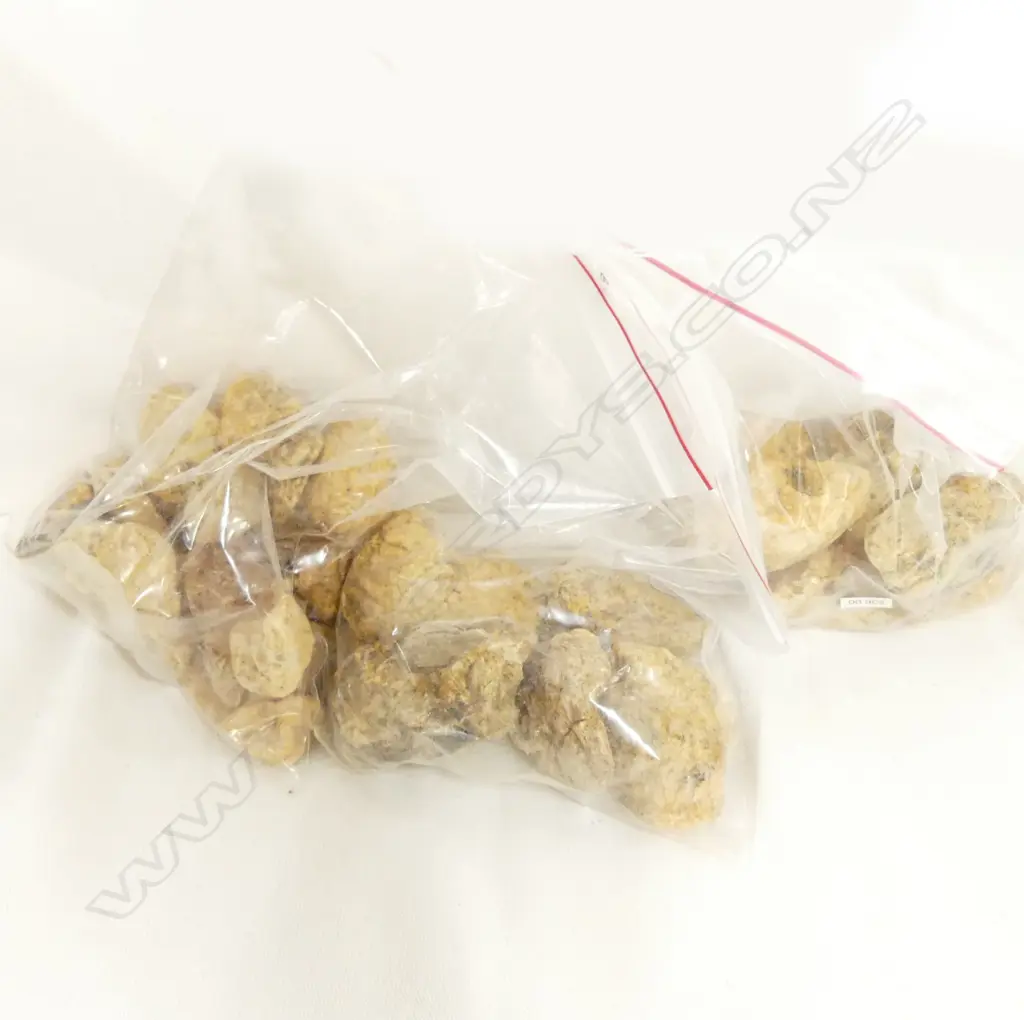 3 X BAGS OF KAURI GUM Image 1++