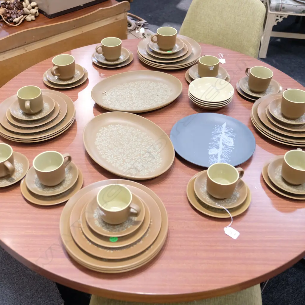 CROWN LYNN DOROTHY THORPE PALM SPRING DINNER SERVICE, LARGEST PLATTER W. 340MM Image 1++