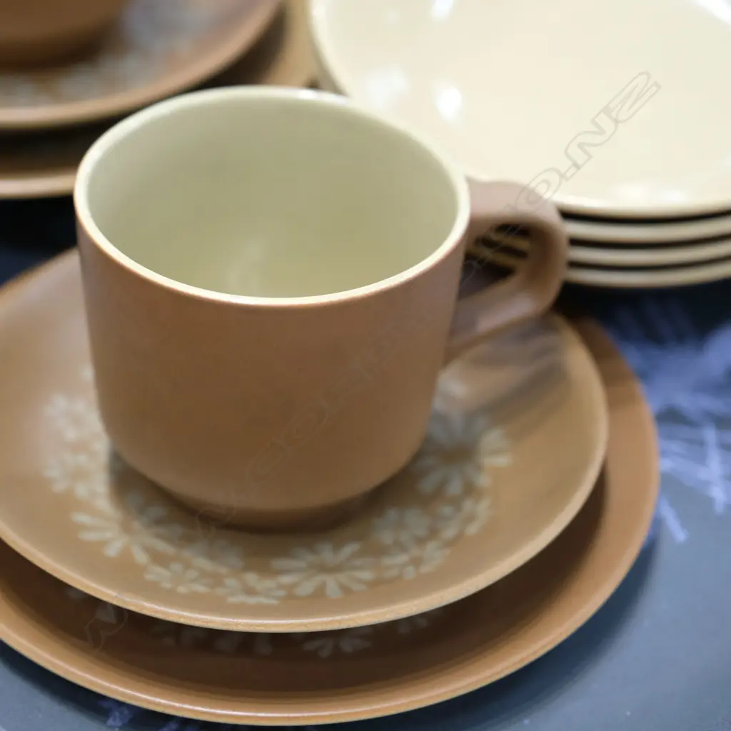 CROWN LYNN DOROTHY THORPE PALM SPRING DINNER SERVICE, LARGEST PLATTER W. 340MM Image 1++