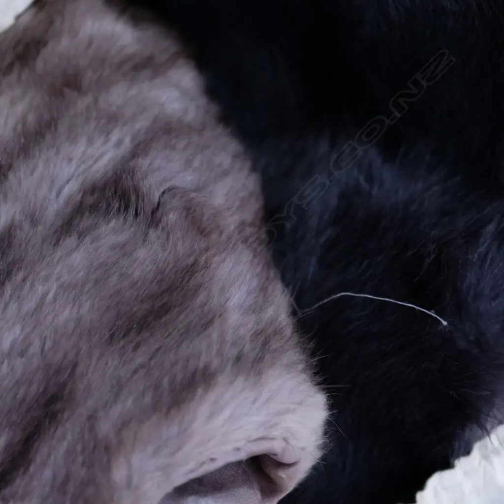 LOT ASST FURS Image 1++