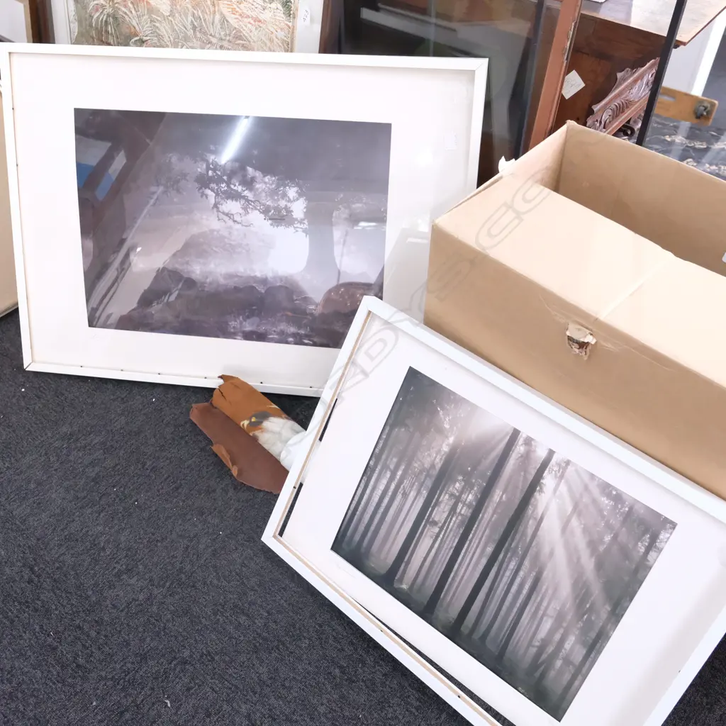 2 LTD EDITION LANDSCAPE PRINTS LARGEST 730X1020MM Image 1++