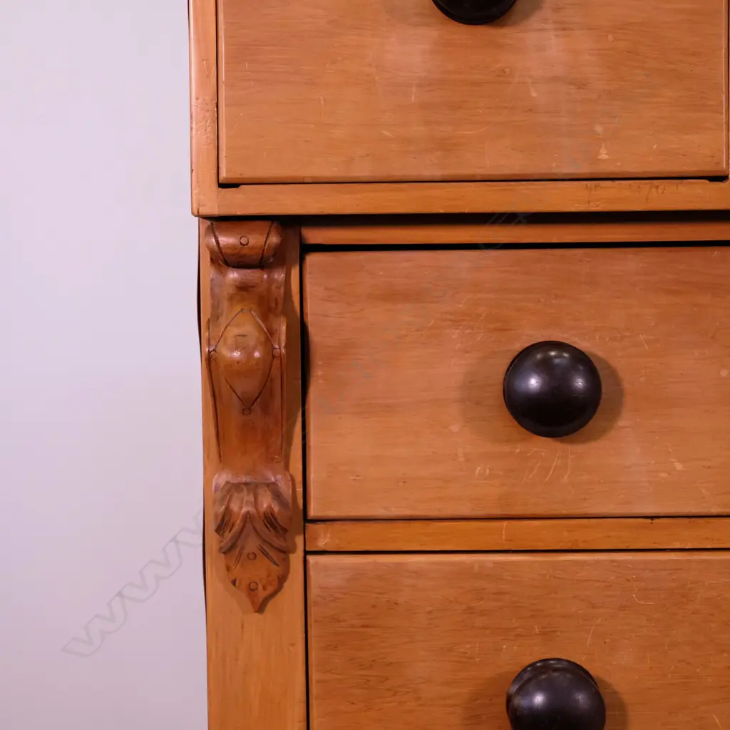 SCOTCH CHEST COLONIAL RIMU Image 1++