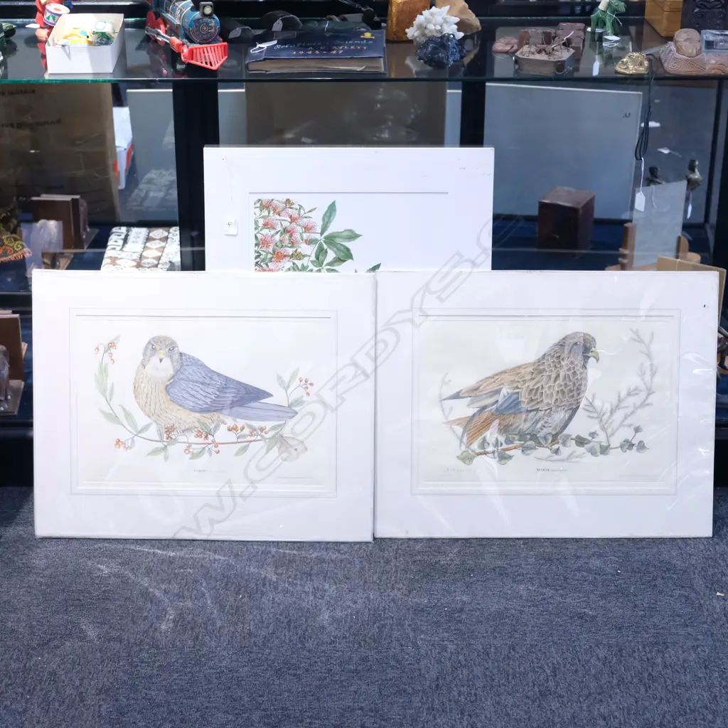 TWO H/C BIRD ENGRAVINGS RED KITE AND MERLIN. PLATE W. 450MM H. 300MM + OTHER PRINT Image 1++
