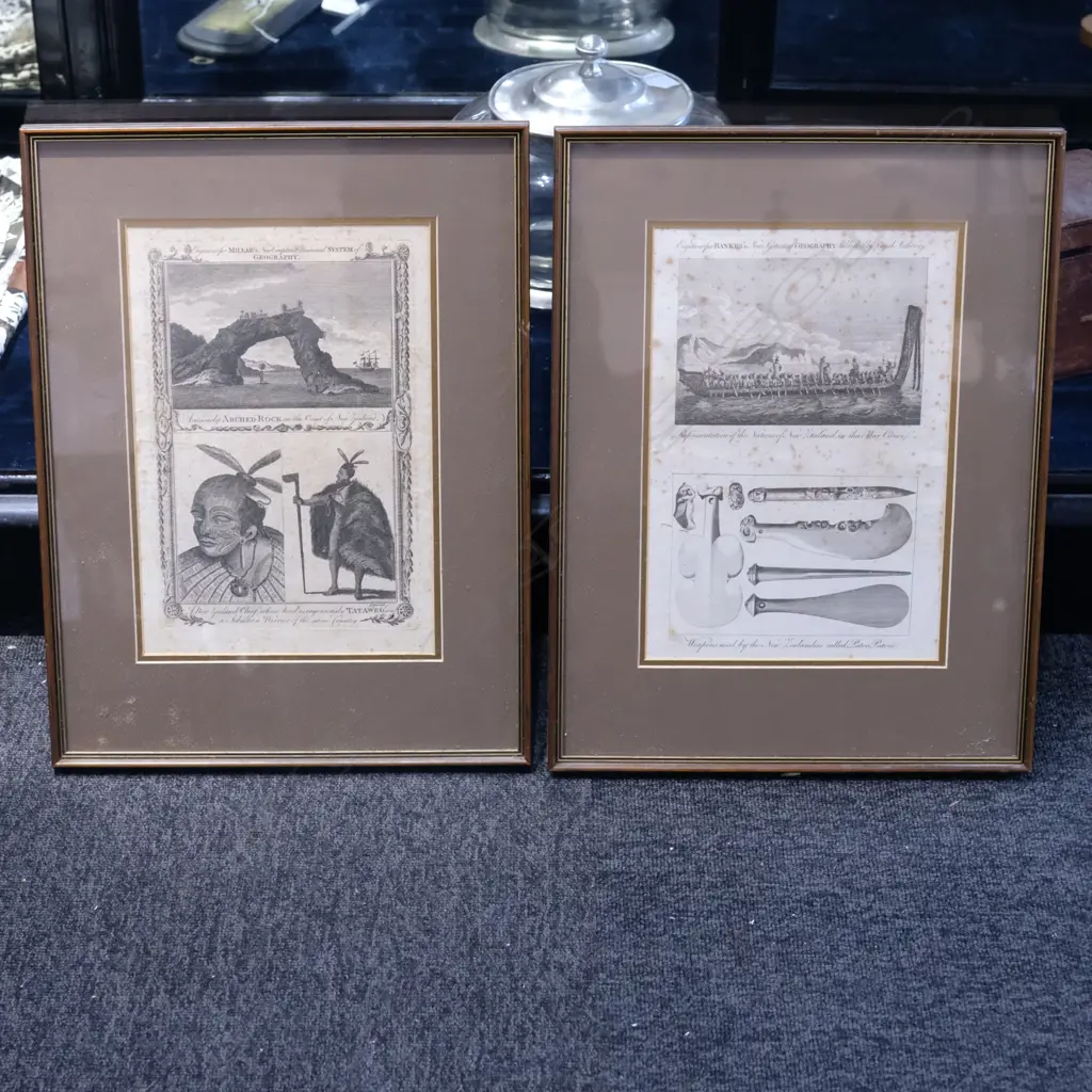 AFTER SYDNEY PARKINSON ENGRAVINGS EACH FRAME H. 470MM W. 350MM  Image 1++