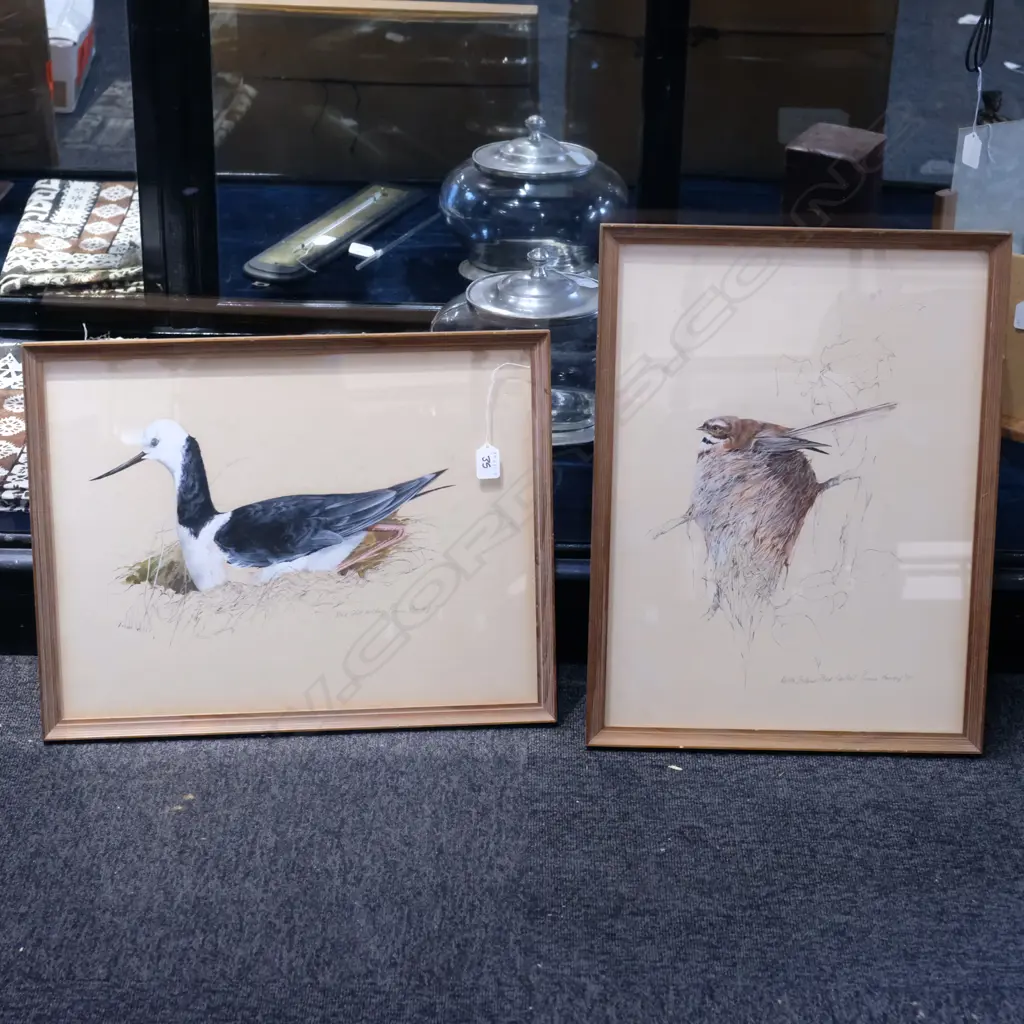 A PAIR OF PAINTINGS BY BRUCE HARVEY ‘NORTH ISLAND FANTAIL’ AND ‘PIED STILT RESTING’ DATED 1970 AND 1971 Image 1++