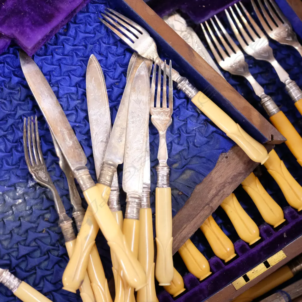 ANTIQUE FAUX BONE HANDLED CUTLERY (AF) Image 1++