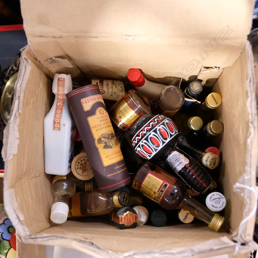 LOT ASST MINATURE BOTTLES Image 1++