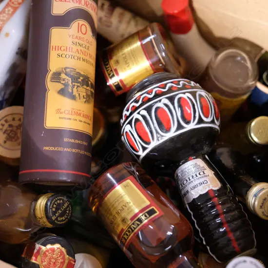 LOT ASST MINATURE BOTTLES