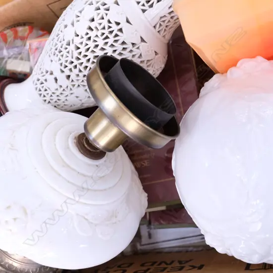 LOT SHAKESPEARE BOOKS/LIGHT FITTINGS ETC