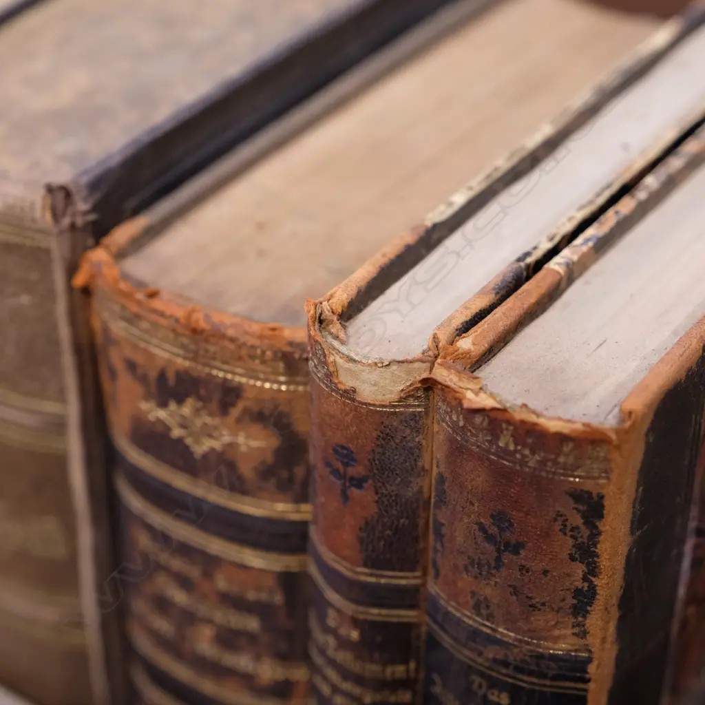 COLLECTION VINTAGE/18TH/19TH CENT. BOOKS Image 1++