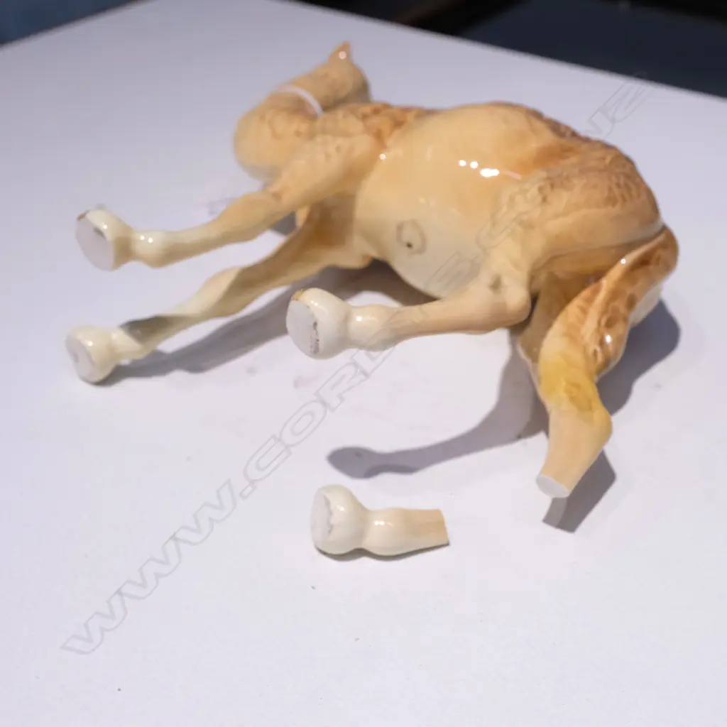 BESWICK OWL AND CAMEL, A.F.CAMEL. Image 1++