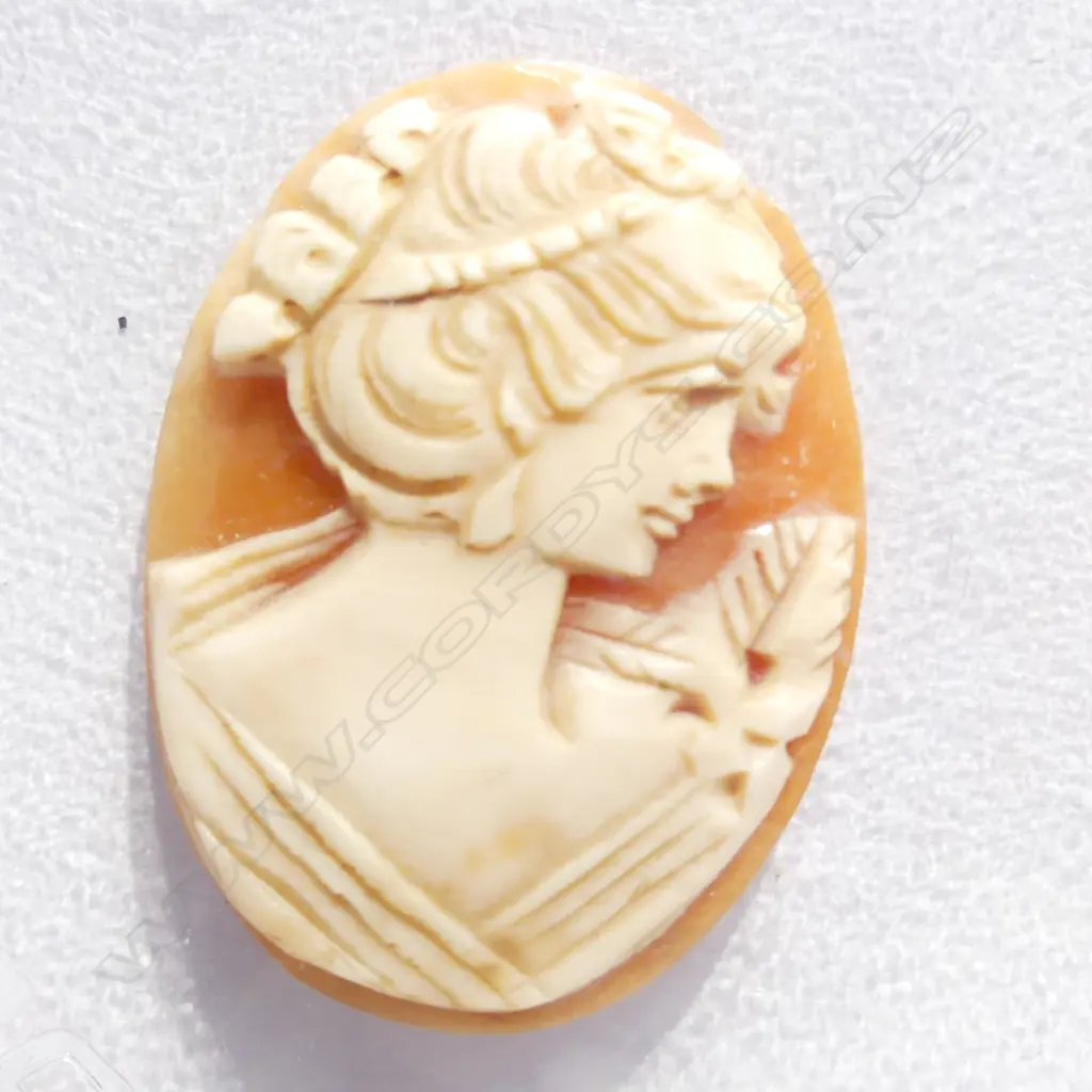 PORTRAIT CARVED CAMEO SHELL 30 x 27mm Image 1++