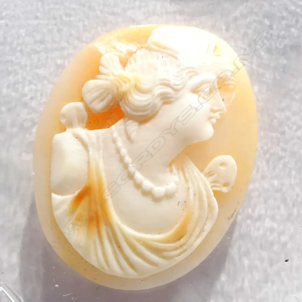 PORTRAIT CARVED CAMEO SHELL 27 x 22mm Image 1++