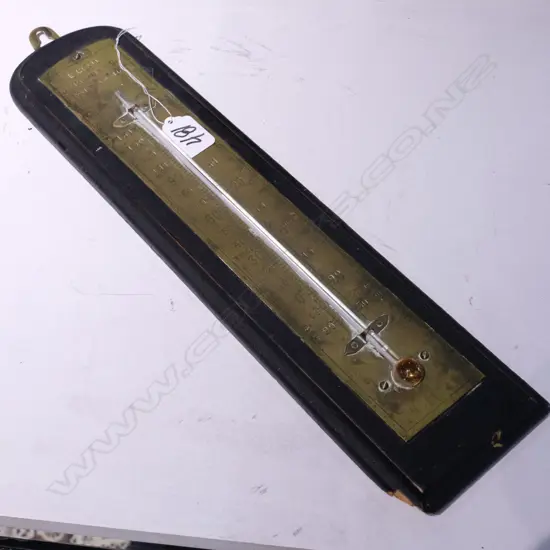 C1900 BRASS BACKED THERMOMETER
