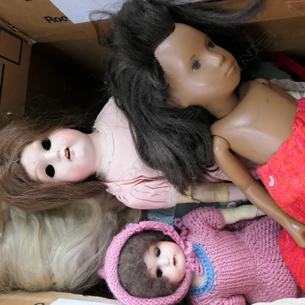 LOT ASST DOLLS INCL NIPPON ETC Image 1++