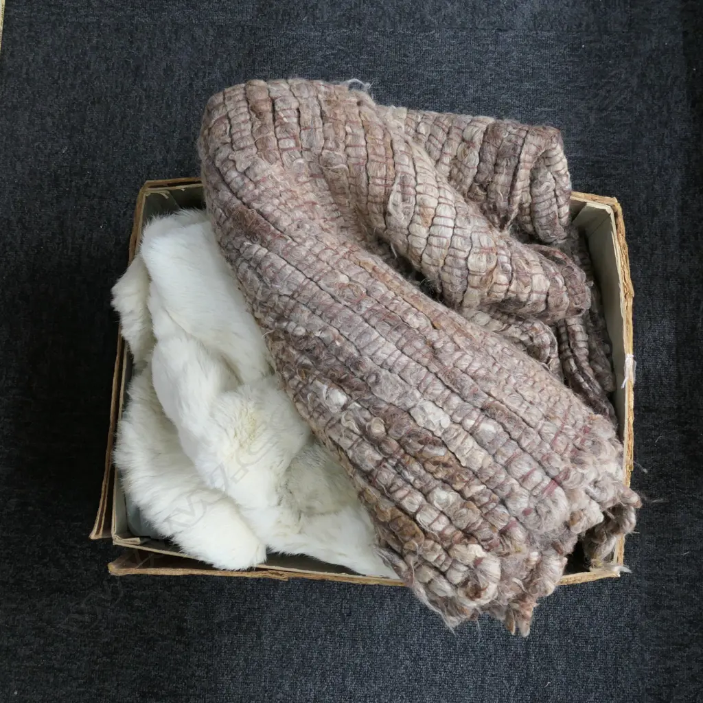 FUR COAT, DRESS & RUG Image 1++