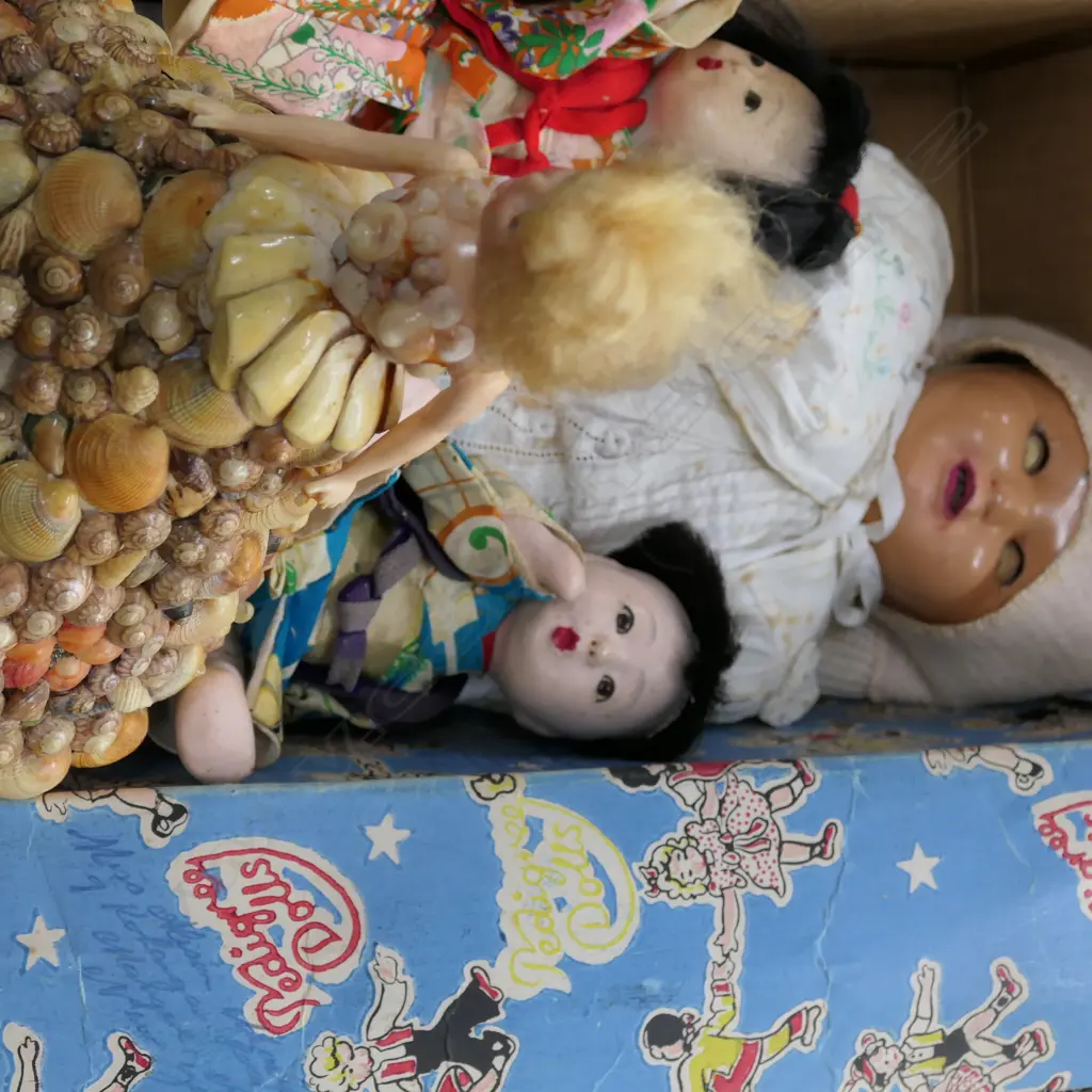 BOXED PEDIGREE DOLL + OTHERS Image 1++