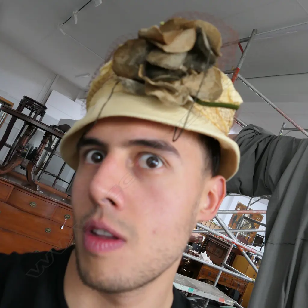 HAT BOX WITH VINTAGE HATS Image 1++