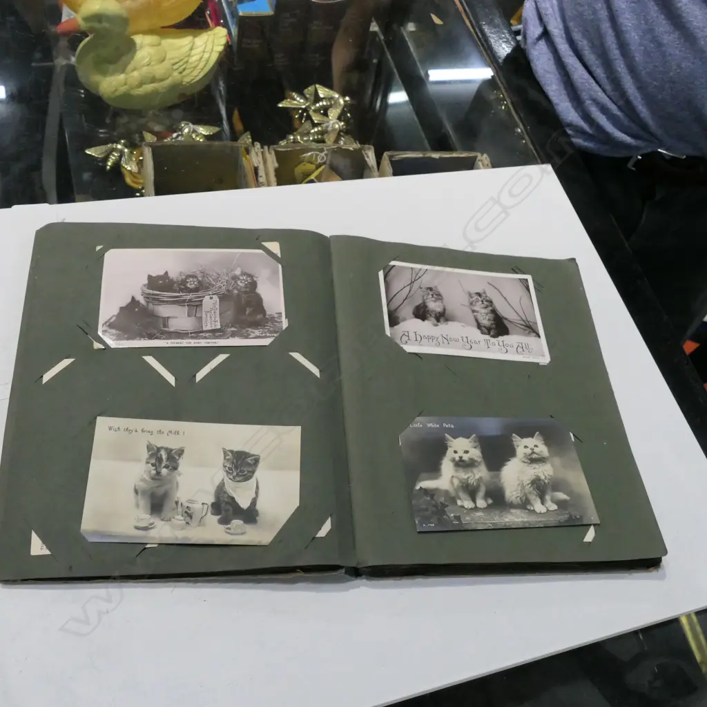 POSTCARD ALBUM Image 1++