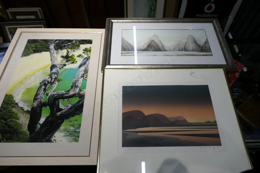 2 FRAMED PRINTS + BEVERLEY NEUTZE SCREENPRINT, 770 X 540MM Image 1++