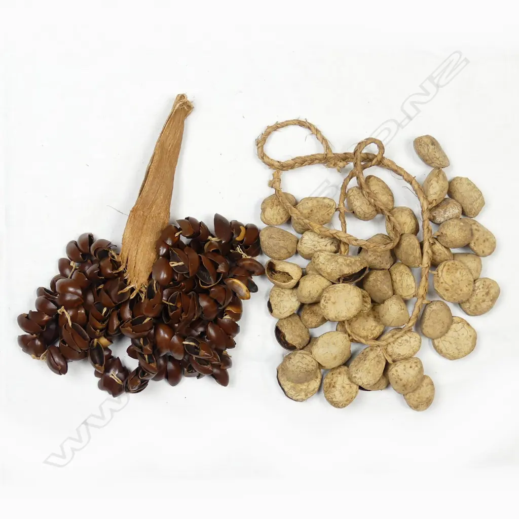 Two African tribal dance rattles Image 1++