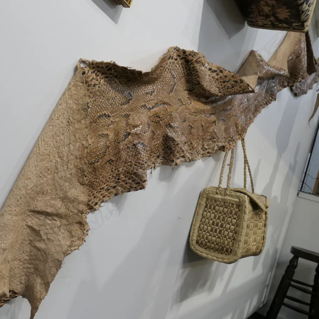 LARGE VINTAGE PYTHON SKIN Image 1++