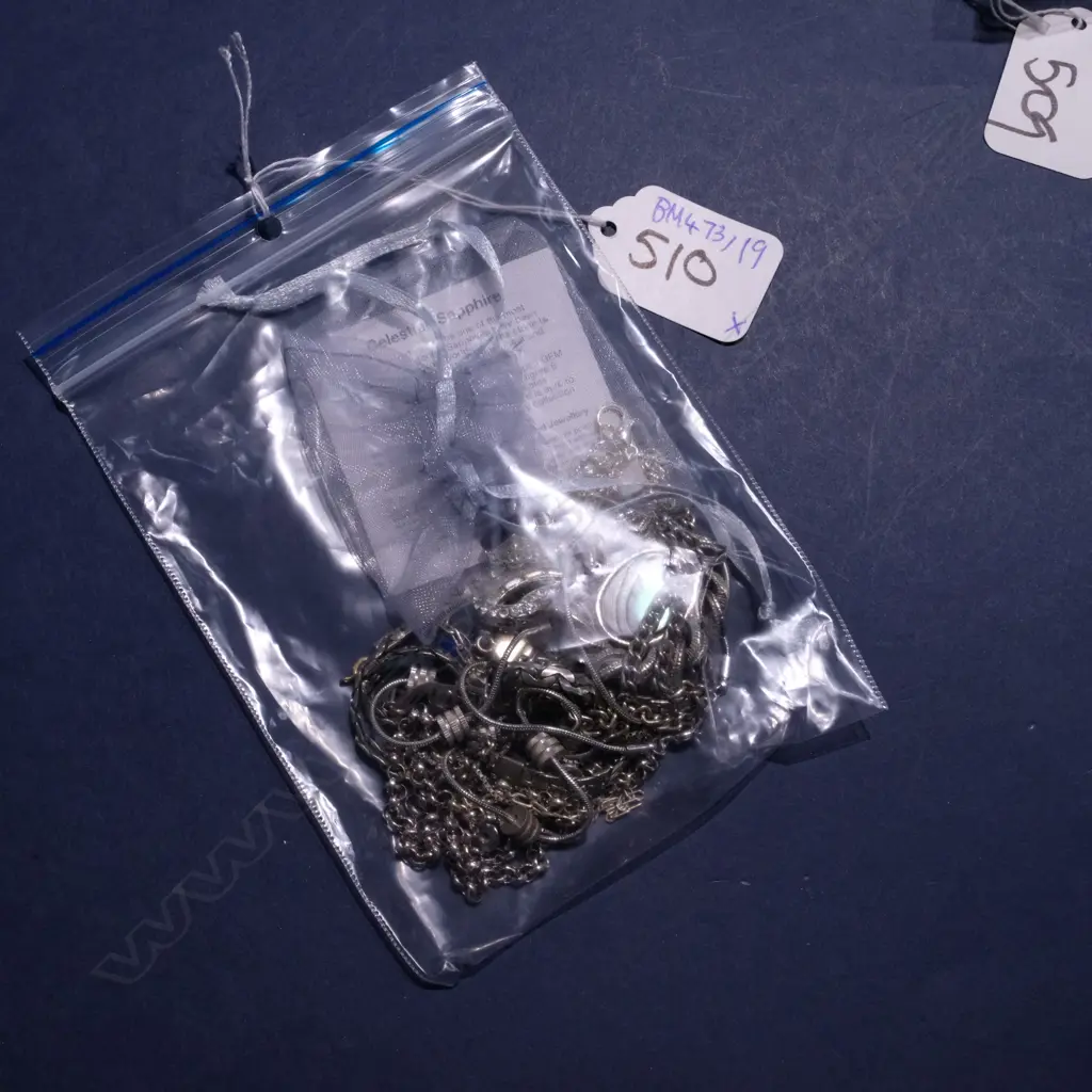 ASST SILVER? PLATE CHAINS, NECKLACES & PENDANTS Image 1++