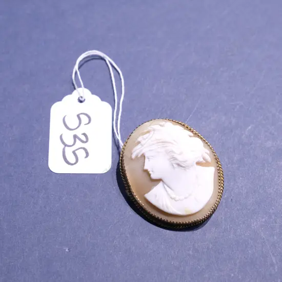 GOLD PLATED VICTORIAN CAMEO BROOCH