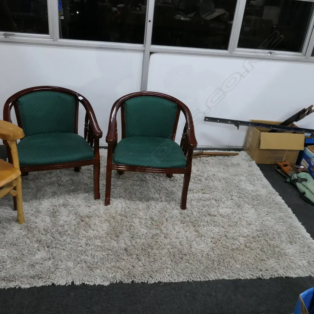 LARGE SHAGGY RUG 1630 X 2300 Image 1++