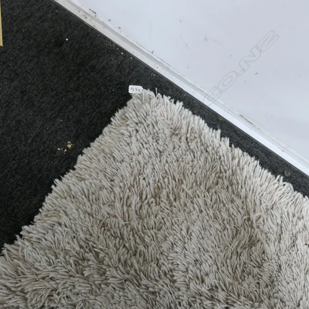 LARGE SHAGGY RUG 1630 X 2300 Image 1++