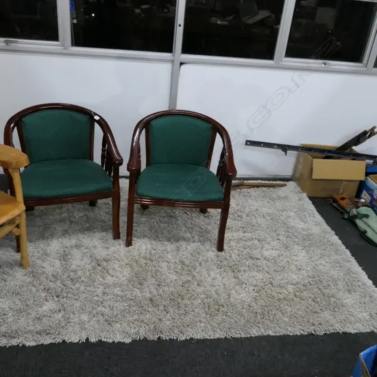 LARGE SHAGGY RUG 1630 X 2300