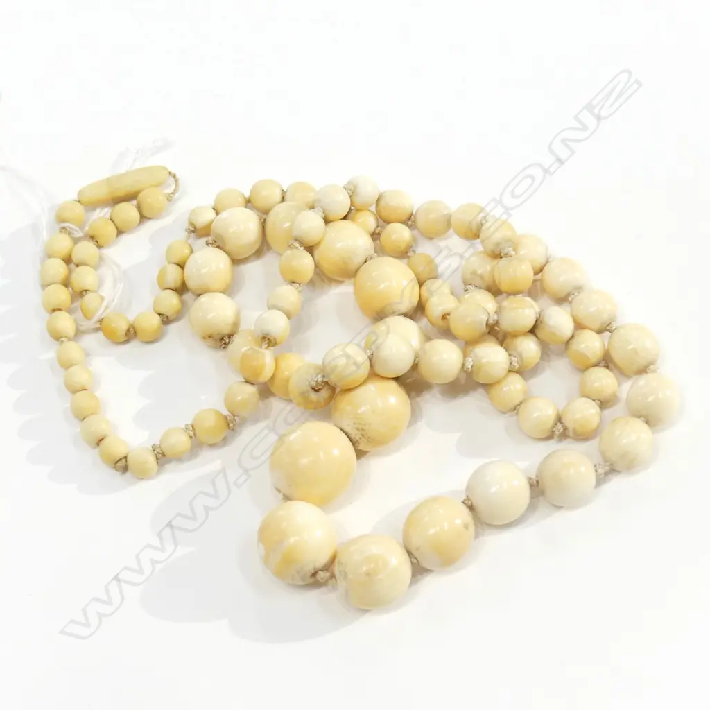 LONG IVORY NECKLACE Image 1++