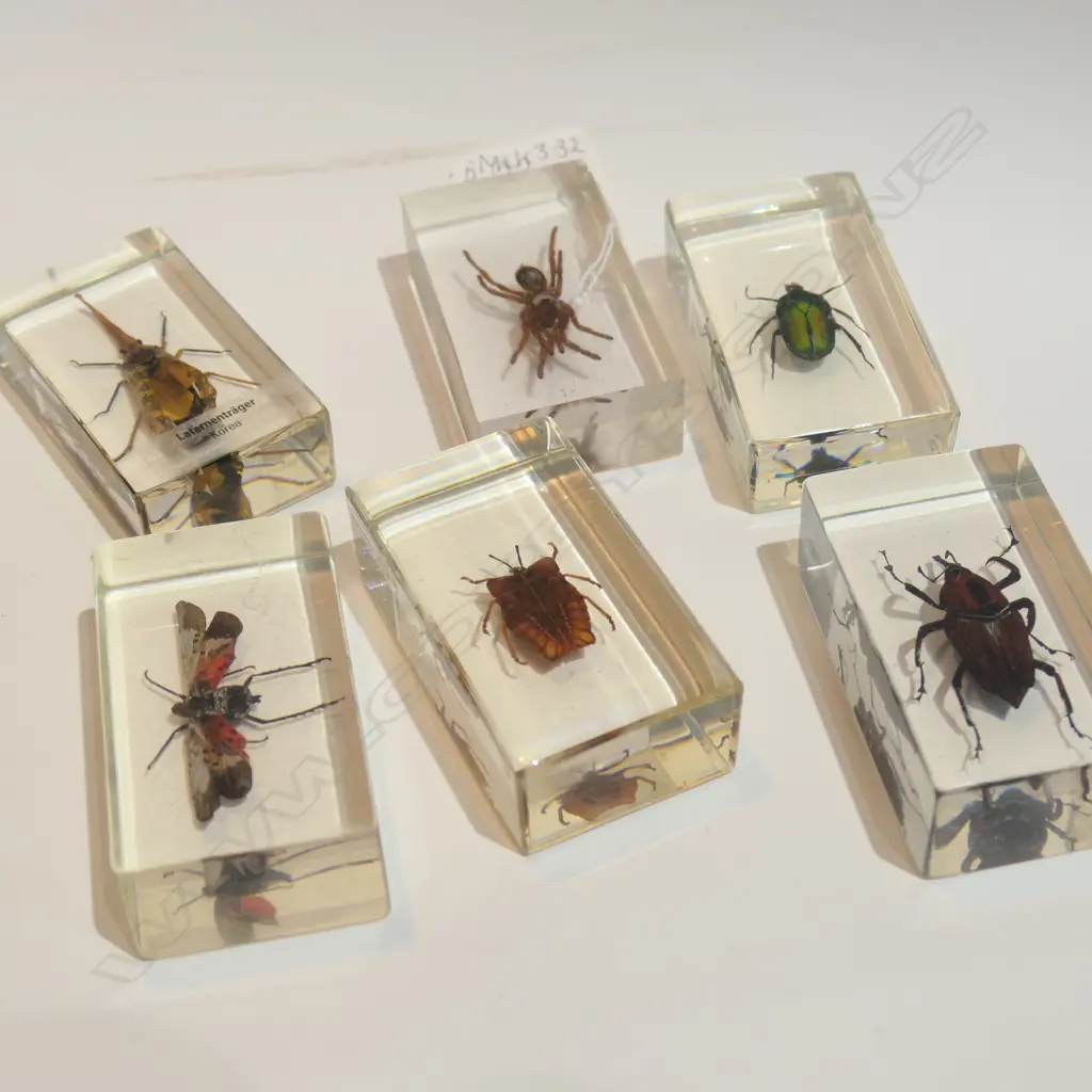 ASSORTED VINTAGE INSECTS IN ACRYLIC Image 1++