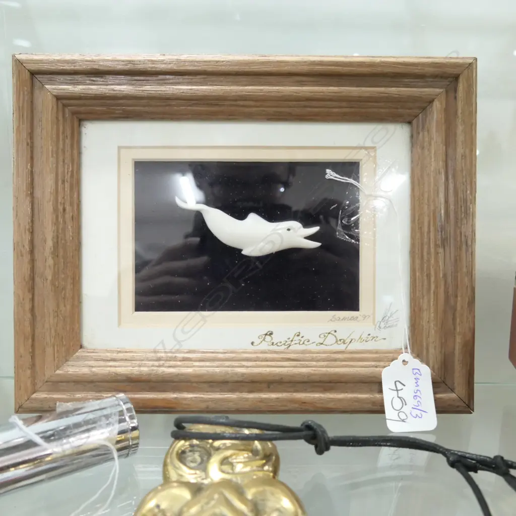 FRAMED IVORY PACIFIC DOLPHIN L. 80MM Image 1++