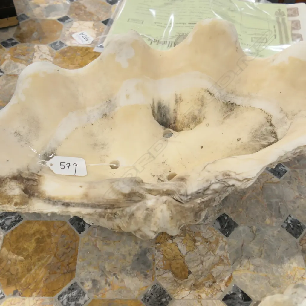 CLAM SHELL Image 1++