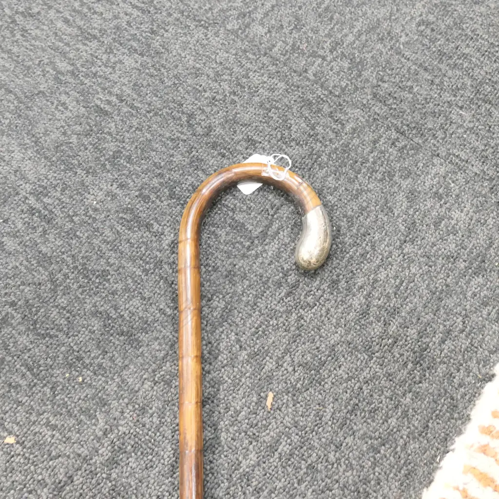 STG SILVER CAPPED WALKING STICK H 790 MM Image 1++