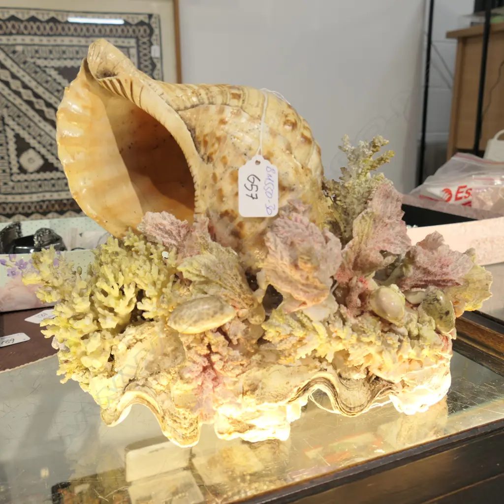 VINTAGE SHELL & CORAL GROUP TABLE LAMP Image 1++