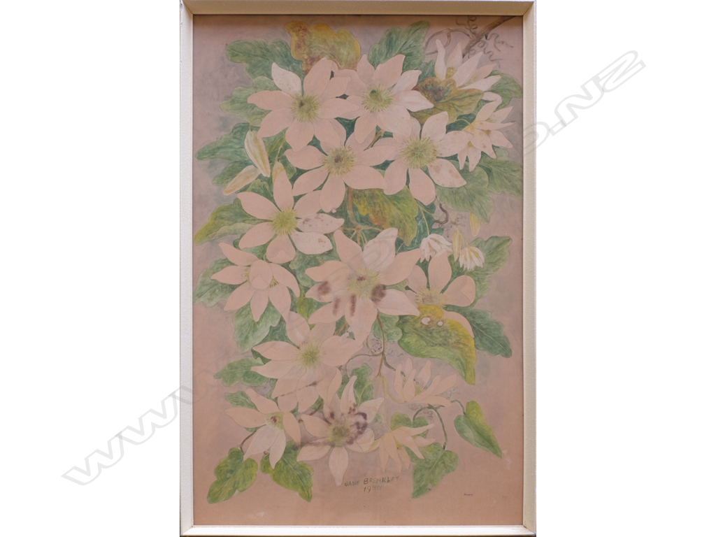 JANE BRENKLEY FLORAL WATERCOLOUR STILL LIFE SGD & DATED 1956 565MM X 360MM Image 1++