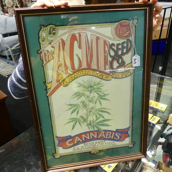VINTAGE 'CANNABIS SEEDS' ADVERTISING PRINT 475 X 330