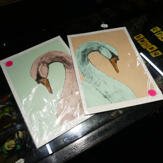 TWO UNFRAMED SWAN PRINTS BY EVIE KEMP 430MM X 300MM