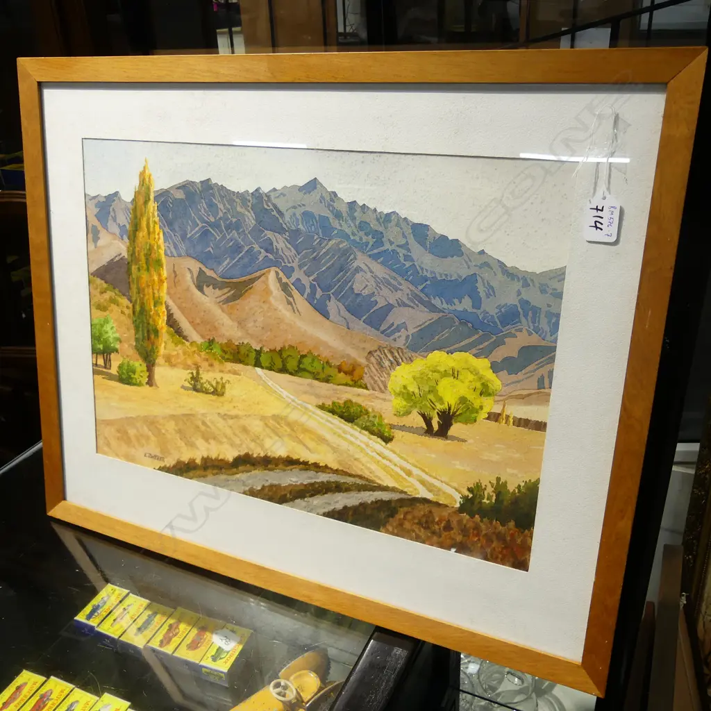 E J WEBER ADVANCE PEAK FROM MACETOWN 340 x 490mm Image 1++