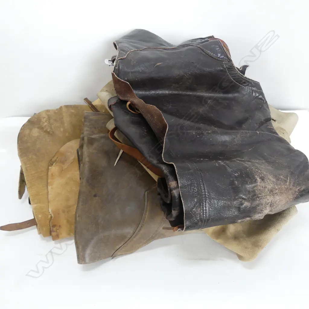 ASST LEATHER COWBOY CHAPS Image 1++