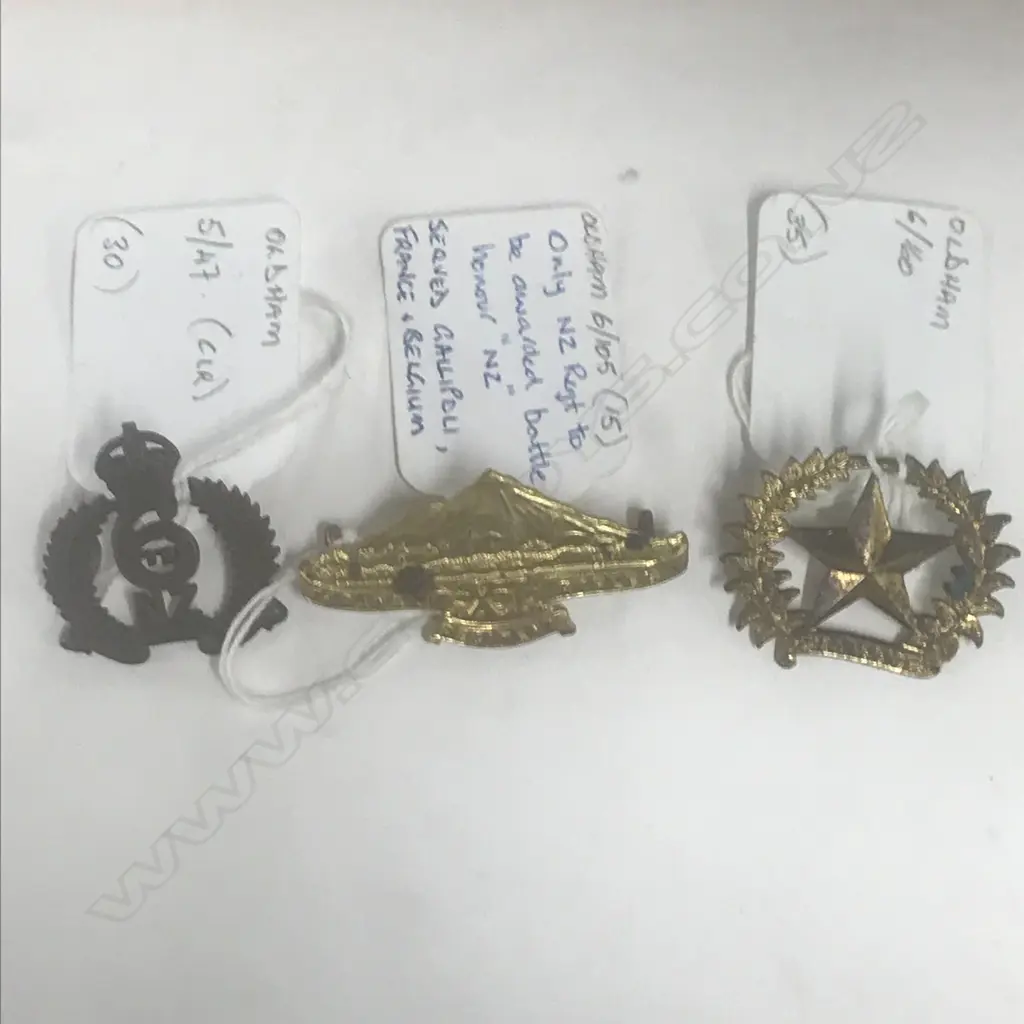 CAP/COLLAR BADGES: 6th (MANAWATU) MTD RIFLES; 11th (TARANAKI RIFLES) REGT, 17th (RUAHINE) REGT Image 1++